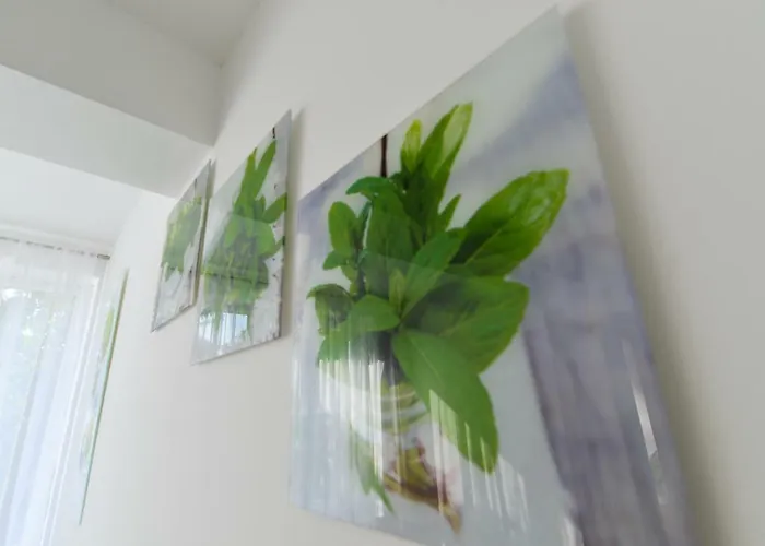 Daire Sunset Gold Zadar